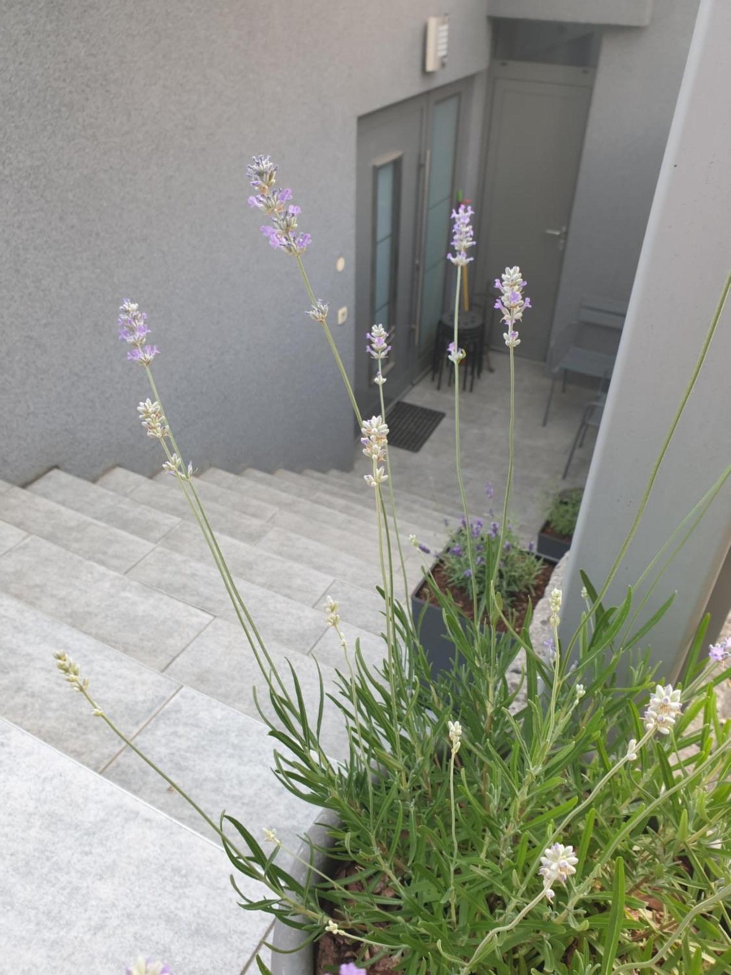 Apartment Emma Ljubljana - Free Parking, Ac, Wifi Pokój zdjęcie